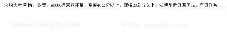 求购高40公分以上大叶黄杨、冬青