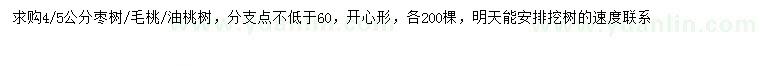 求购枣树、毛桃、油桃树