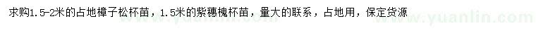 求购1.5-2米樟子松、1.5米紫穗槐