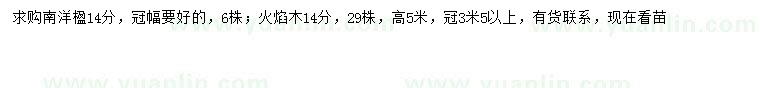 求购14公分南洋楹、火焰木