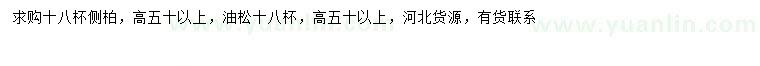 求购高50公分以上侧柏、油松