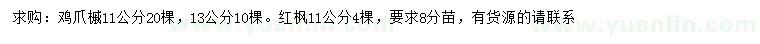 求购11、13公分鸡爪槭、11公分红枫