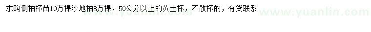 求购50公分以上侧柏、沙地柏