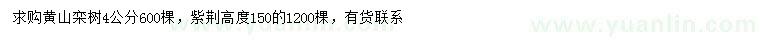 求购4公分黄山栾树、高150公分紫荆