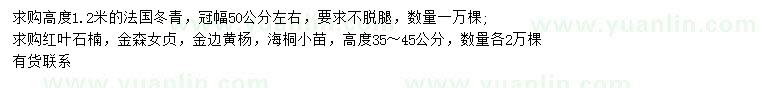 求购法国冬青、红叶石楠、金森女贞等