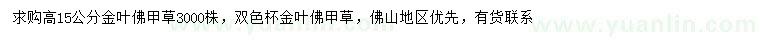 求购高15公分金叶佛甲草