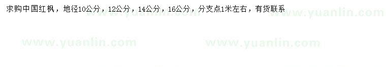 求购地径10、12、14、16公分中国红枫