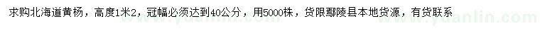 求购高1.2米北海道黄杨