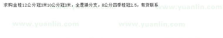 求购12公分金桂、8公分四季桂