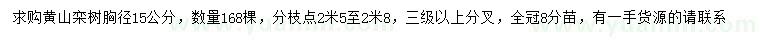 求购胸径15公分黄山栾树