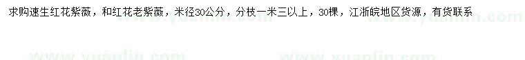 求购米径30公分速生红花紫薇、红花老紫薇