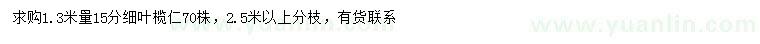 求购1.3米量15公分细叶榄仁