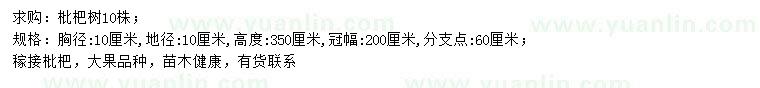 求购胸径10公分枇杷树