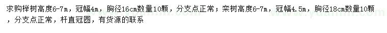 求购胸径16公分榉树、胸径18公分栾树