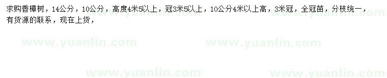 求购10、14公分香樟树