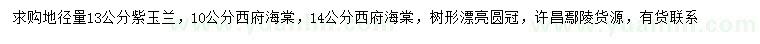 求购地径13公分紫玉兰、地径10、14公分西府海棠