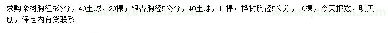 求购栾树、银杏、桦树