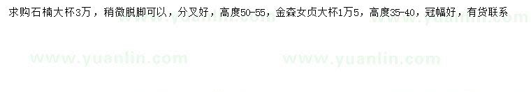 求购高50-55公分石楠、高35-40公分金森女贞