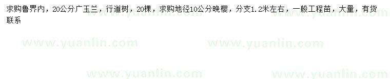 求购20公分广玉兰、地径10公分晚樱