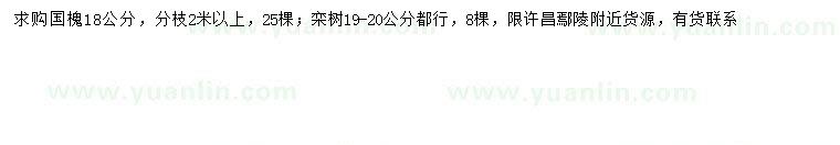 求购18公分国槐、19-20公分栾树