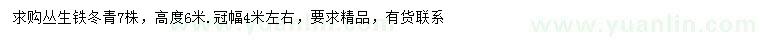 求购冠幅4米左右丛生铁冬青