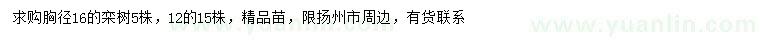 求购胸径12、16公分栾树