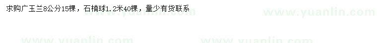 求购8公分广玉兰、1.2米石楠球