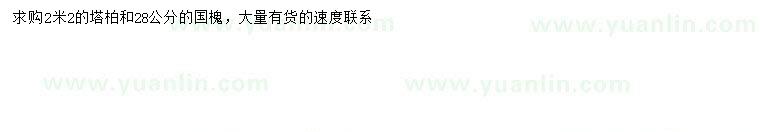 求购2.2米塔柏、28公分国槐