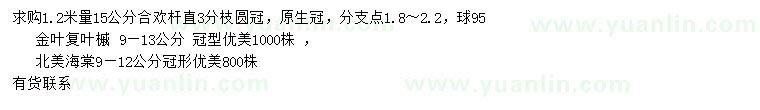 求购合欢、金叶复叶槭、北美海棠