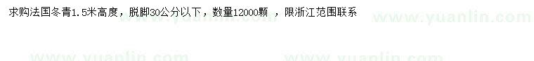 求购高1.5米法国冬青 