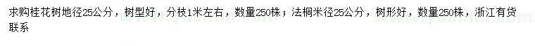 求购地径25公分桂花、米径25公分法桐