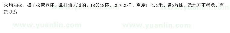 求购高1-1.3米油松、樟子松