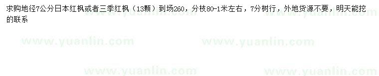 求购地径7公分日本红枫、三季红枫
