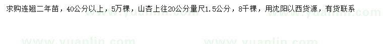 求购40公分以上连翘、20量1.5公分山杏