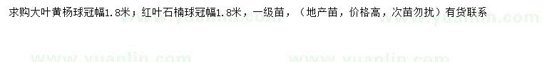 求购冠幅1.8米大叶黄杨球、红叶石楠球