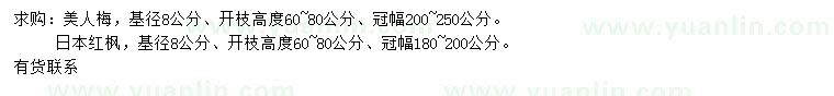 求购8公分美人梅、日本红枫