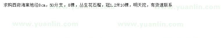 求购地径8公分西府海棠、冠幅1.2米丛生花石榴