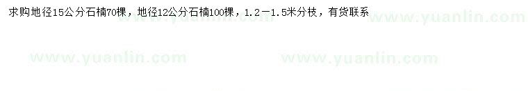 求购地径12、15公分石楠