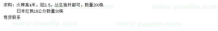 求购高4米火棘、18公分日本红枫