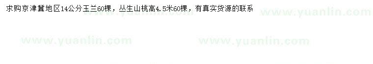 求购14公分玉兰、高4.5米丛生山桃