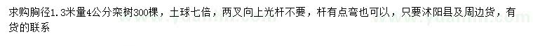 求购1.3米量4公分栾树