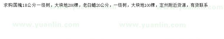 求购18公分国槐、20公分老白蜡