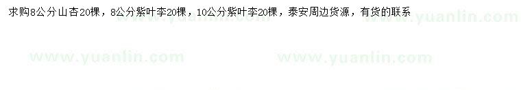 求购8公分山杏、8、10公分紫叶李