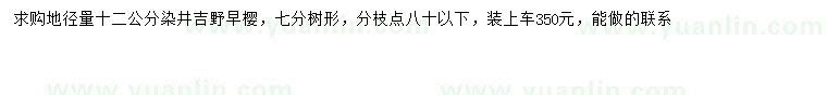 求购地径12公分染井吉野樱