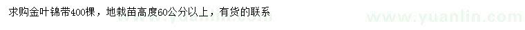 求购高60公分以上金叶锦带