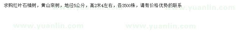 求购地径5公分红叶石楠、黄山栾树