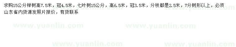 求购15公分榉树、七叶树