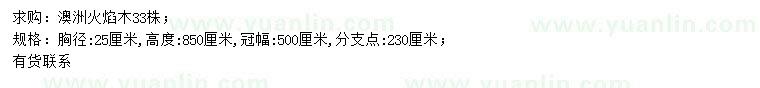 求购胸径25公分澳洲火焰木