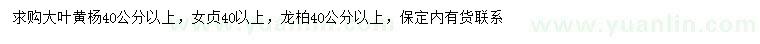 求购大叶黄杨、女贞、龙柏