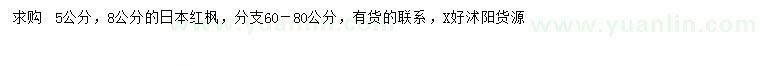 求购 5、8公分日本红枫